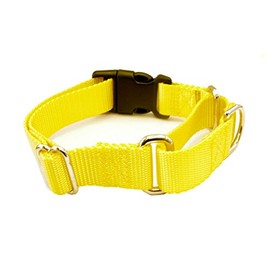 1 Inch Width Martingale with Buckle Dog Collars - Heavy Duty Nylon (1" Width Dog Collars (Yellow, XXL 1")