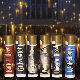 Boy Wizard Lip Balm Set – 6-Pack Hydrating & Moisturizing Lip Balms – HP Magic House-Themed Flavors – Gifts for Potter Fans, Wizard World Lip Care