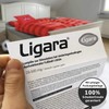 Ligara® for Nuremberg Fan Item Gift Birthday Fans (1x Single