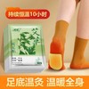 Wormwood Self-Heating Foot Warmers (10 Pcs) Hot Pack 2ea