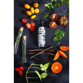 BULLFROG Energizing Scalp Lotion 100 ml