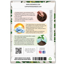 Seed Needs Rue Seeds for Planting - Non-GMO Heirloom & Untreated Perennial Herb Seed to Plant a Home Grown Medicinal Garden Indoors or Outdoors (2 Packs)