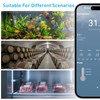 Daytech WiFi Thermometer Hygrometer with Freezer Alarm, Email Report, App