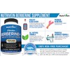 Nutrivein Premium Berberine HCL 1200mg Plus Organic Ceylon Cinnamon -