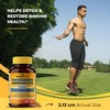 SANDHUHERBALS Andrographis Paniculata Kalmegh for Immune and Liver Health Support|