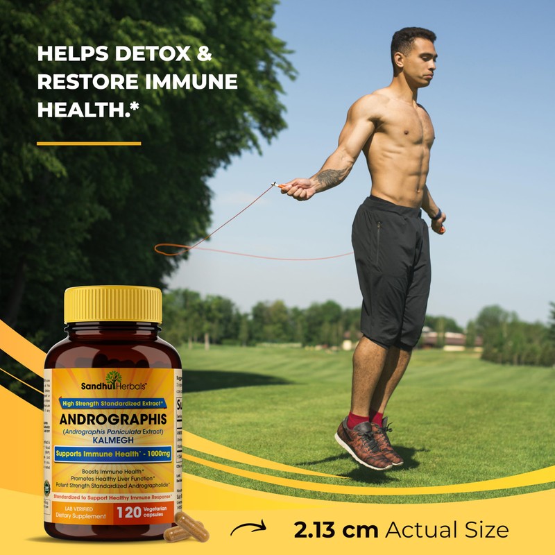 SANDHUHERBALS Andrographis Paniculata Kalmegh for Immune and Liver Health Support|