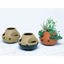 Yamato Plastic Pot, Pot, Cross, Herbs, and