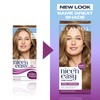 Clairol Nice'n Easy Tone+Gloss Semi Permanent Hair Dye - 811/73