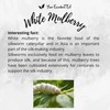 White Mulberry Loose Leaf Herbal Tea (100g)