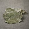 인도네시아 그라비올라 600g 건 건조 잎 차 Indonesian Graviola 600g