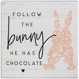 Simply Said, INC Small Talk Squares 5.25" Wood Sign - Follow the Bunny, He Has Chocolate - STS1594