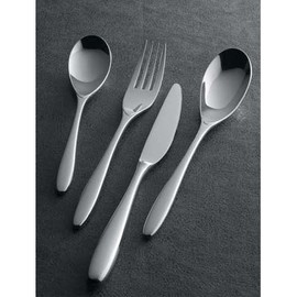Joel Robuchon Selection Dinner Spoon SAS-01