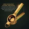 Lemon Squeezer, Metal Lemon Squeezer Stainless Steel Juicer Hand Held