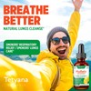Mullein Leaf Extract Drops – Natural Lung Support & Respiratory