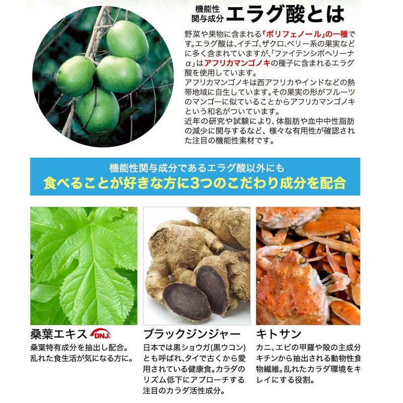 phiten(ファイテン) シボヘリーナα