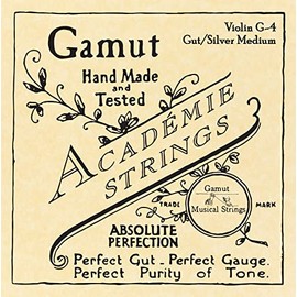 Academie Violin G-4 Gut/Silver Medium Gauge