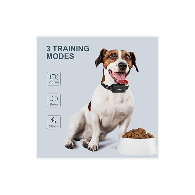 Bird Swings Dog Shock Collar with Remote, Bird Parakeet Toys