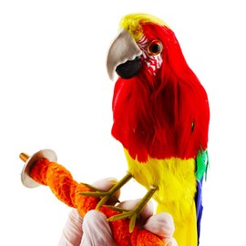 5 PCS Parrot Perches Bird Perches Budgie Perch Paw Grinding Stick Toy Birds Parrot Budgies Parakeet Cockatiels Cage Accessories, 8.5"