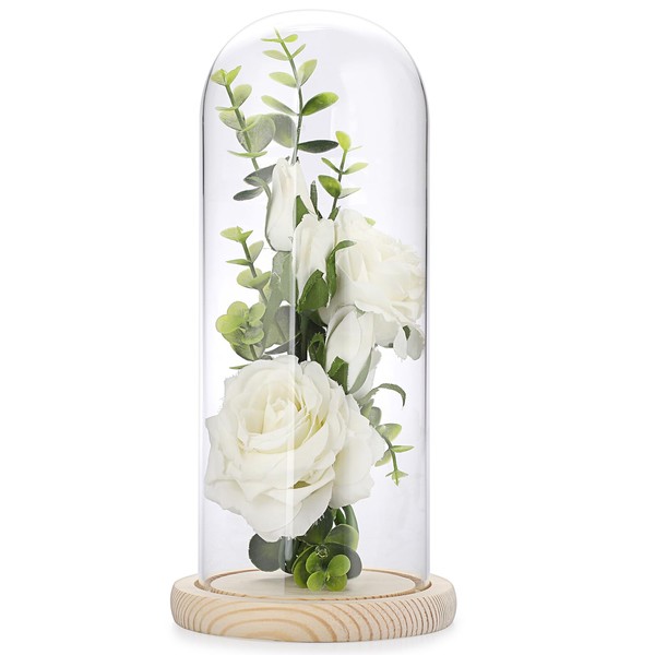 Hipiwe Glass Display Dome Cloche with Wood Base Clear Glass
