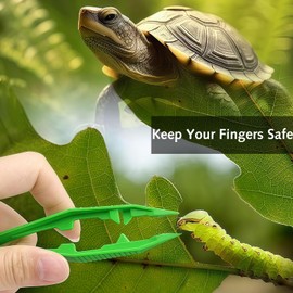 Plastic Tweezers for Feeding Reptiles, 5PCS Tongs for Snakes Lizard Tortoise Gecko, Kids Handmade DIY Crafts