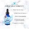 Absonutrix Apigenin 75 mg per Serving, 4 Fl Oz Bottle,