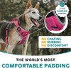 Embark Sports Dog Harness, No Pull Dog Harness with 2