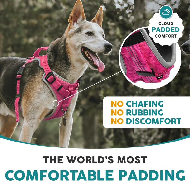 Embark Sports Dog Harness, No Pull Dog Harness with 2