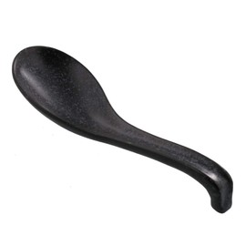 sn-00503 Tableware East Large Hanging Astragalus, Black Mat