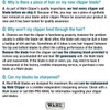 Wahl Clipper Blade 1037-400, Spare Standard Blade for Pet Multi