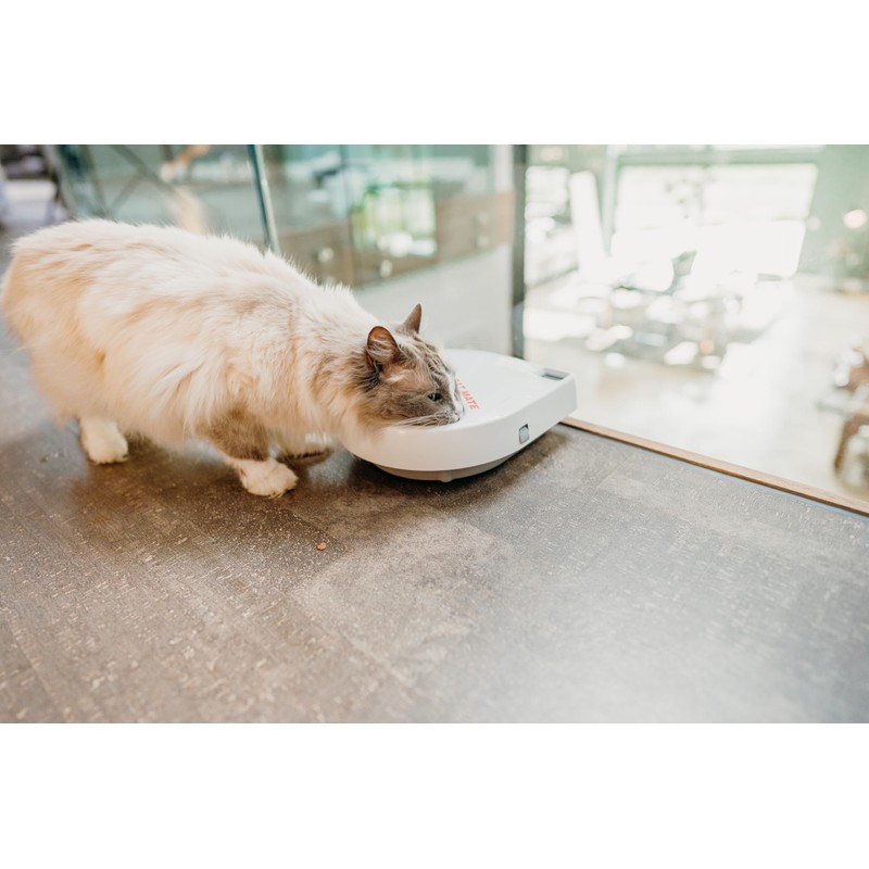 Cat Mate C300 Automatic 3 Meal Pet Feeder with Digital
