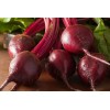 The Gardening World 500 Detroit Dark Red Beet Seeds Beta
