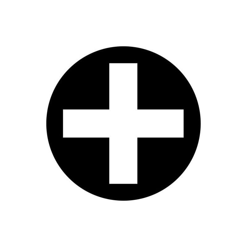 PB Swiss 8193 SwissGrip Phillips Screwdriver, PH2 x 100 mm