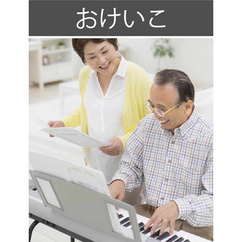 Panasonic IC recorder GB White RR – qr220