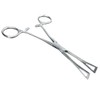 Hawk Stainless Steel Precision Ear Piercing Forceps | Great for