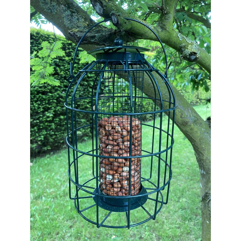 Oakdale Squirrel Resistant Peanut Bird Feeder