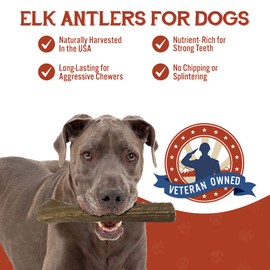 Heartland Elk Antlers for Dogs - Grade A, Naturally Shed Antlers | Dog Bones for Aggressive Chewers & Teething Puppies | All Breeds Chew Toy USA Made & Veteran Owned (Whole Elk: 9+", Giant, 1-Pack)