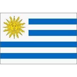 Uruguay Flag Polyester 3 ft. x 5 ft.