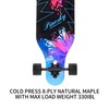 PINESKY 41 Inch Longboard Skateboard 9 Ply Natural Maple Complete