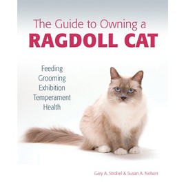  The Guide to Owning a Ragdoll Cat