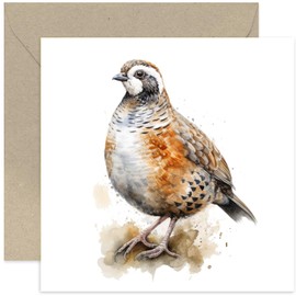 Old English Co. Watercolour Quail Bird Greeting Card for Birthday - Cute Countryside Birthday Card for Mum, Nan, Her - Wildlife Art Card for Thinking of You, Thank You, Just Because | Blank Inside
