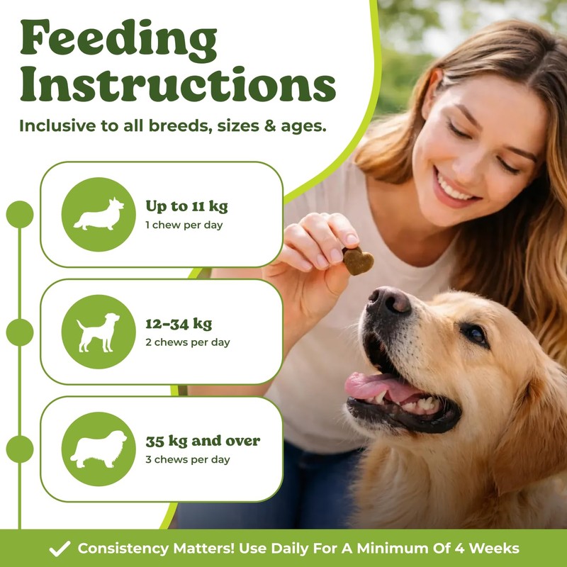 MyCompanion Hip & Joint Supplement for Dogs – Glucosamine, Turmeric