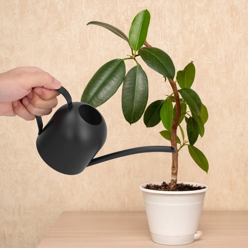 Watering Can 500ML Stainless Steel Long Spout Watering Pot for