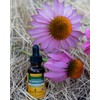 Herb Pharm Organic Echinacea Root Extract, Alcohol-Free: Immune System Support