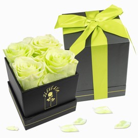 ZLEVEAYN 4 Pcs Fresh Preserved Roses in a Box Forever Real Flowers Birthday Valentine's Day Gifts Eternal Love for Her Women Mom(Green, Black Box)