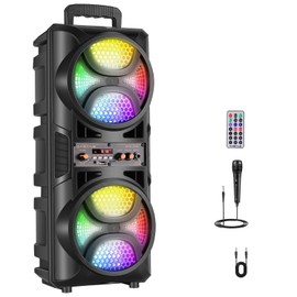 ROXAAN Portable PA Speaker System with Dual 6.5 Inch Woofer, TWS Wireless Bluetooth Speaker with Wired Microphone, Remote, FM Radio, Party Lights, Outdoor Karaoke Machine for Events, Camping, Travel