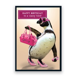 Pigment - Animal Antics - Classy Bird - Friend Birthday Card - Birthday Cards for Women - Birthday Card Daughter - SC Certified - Made in the UK