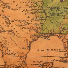 Anna by Anuschka Heritage Collection Women's Genuine Leather Large Phone Organizer - USA Map Tan