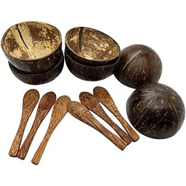VIE Gourmet Mini Coconut Bowls and Spoons, Set of 6
