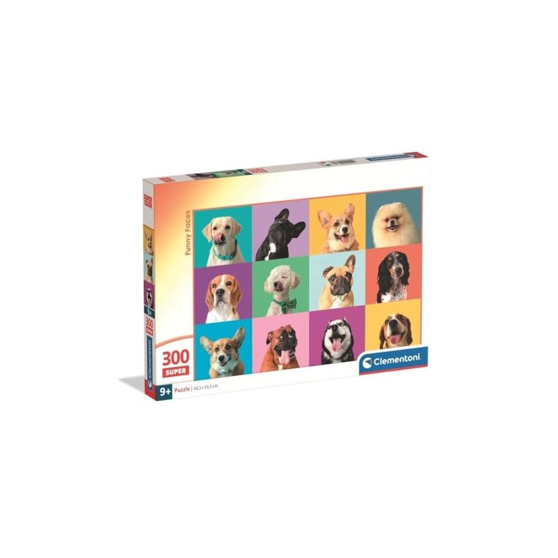 PZL 300 FUNNY FACES 2025