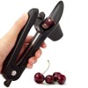 Cherry Pitter Tool Corer Remover Olive Pitter Fruit Separator with